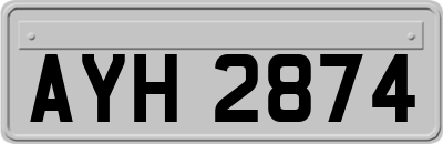 AYH2874