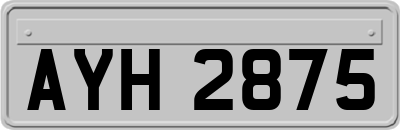 AYH2875