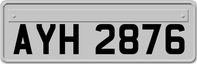 AYH2876