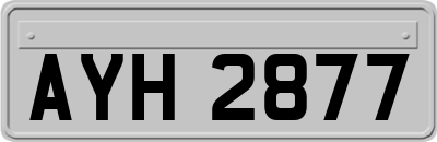 AYH2877