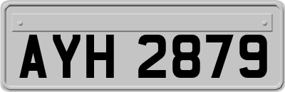 AYH2879