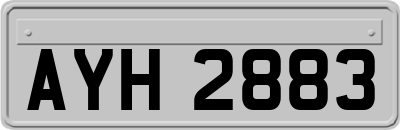 AYH2883