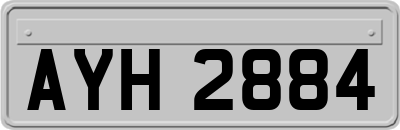 AYH2884