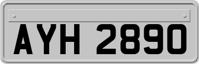 AYH2890