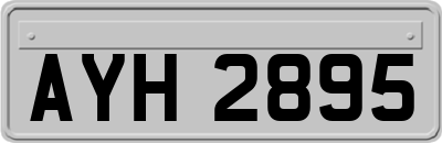 AYH2895
