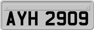 AYH2909