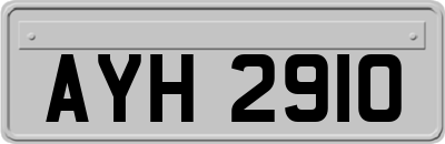 AYH2910