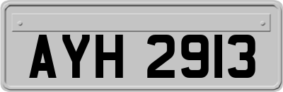 AYH2913