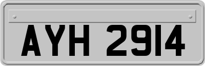 AYH2914