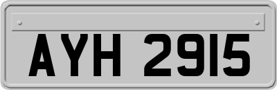 AYH2915