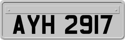 AYH2917
