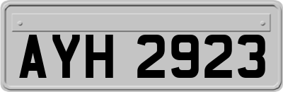 AYH2923