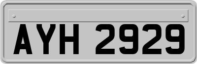 AYH2929