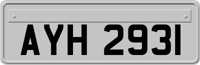 AYH2931
