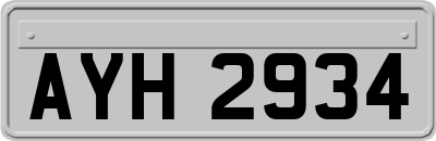 AYH2934