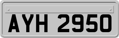 AYH2950