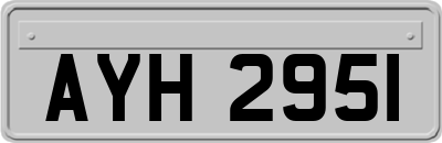 AYH2951