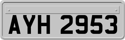 AYH2953