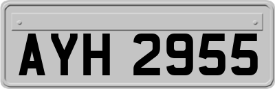 AYH2955