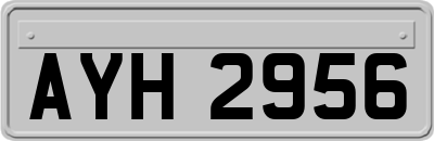 AYH2956