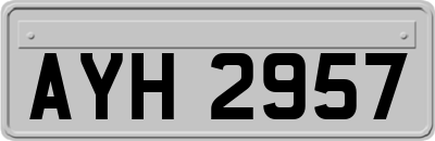 AYH2957