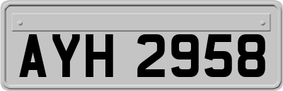 AYH2958