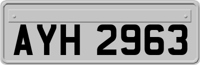 AYH2963