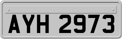 AYH2973