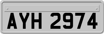 AYH2974
