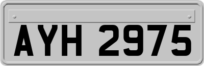 AYH2975