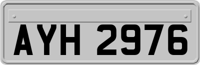 AYH2976