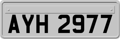 AYH2977