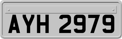 AYH2979