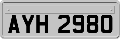 AYH2980