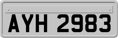 AYH2983