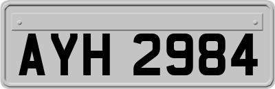 AYH2984