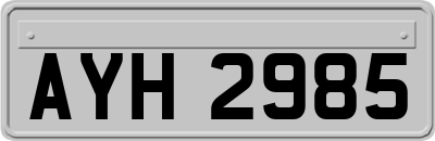 AYH2985