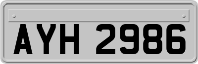 AYH2986