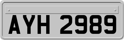 AYH2989
