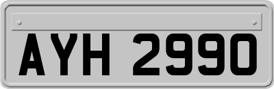AYH2990