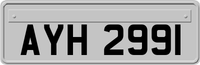 AYH2991