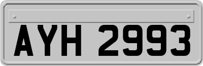 AYH2993