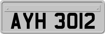 AYH3012