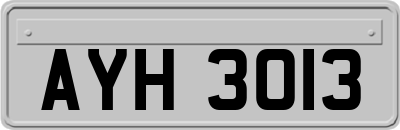 AYH3013