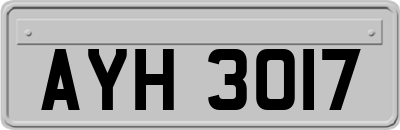 AYH3017