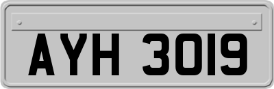 AYH3019