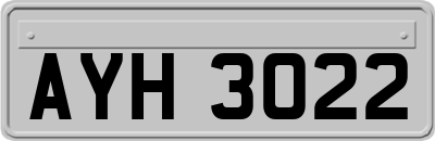 AYH3022