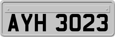 AYH3023