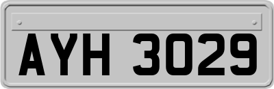 AYH3029