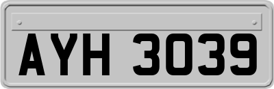 AYH3039